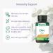 Adrien Gagnon - Zinc 50mg Immune System Support 100 Tablets - Buy Online on GoSupps.com