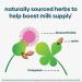 UpSpring MilkFlow Fenugreek & Blessed Thistle Drink - Berry Flavor, 16 Packets (10g Each) for Lactation Support - Buy Online on GoSupps.com