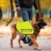 CENWA Rescue In Training Do Not Pet Dog Jacket Vest Nervous Anxious Training Dog Slogan Warning Vest (In Training Rescue M EU) - Buy Online on GoSupps.com