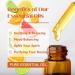 Benatu Citrus Essential Oils Set - Natural Aromatherapy Gift for Women and Men - Orange-Citrus Collection for Home, Diffuser, Skin - 0.34 Fl Oz (Pack of 5) - Buy Online on GoSupps.com