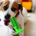 Anulely Dog Toy - Teeth Grinding & Brushing Suction Cup | Dog Tooth Care Products for Home Clinics & Shelters - Classic Sound Dog Toothbrush (Green) - Buy Online on GoSupps.com