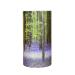 Scattering Ashes Urn Scatter Tube Eco-friendly Biodegradable Cremation Urn Child (Bluebell Forest Extra Small For Child/Pet/Part Ashes) XS Bluebell Forest