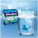 Efferdent Denture Cleanser Tablets - Mint Flavor - 44 Count - Fresh & Clean | Pack of 1 - Buy Online on GoSupps.com