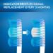 Buy Oral-B Indicator Soft Toothbrush #40 (Size #11) - 1ct | International Shipping Available - Buy Online on GoSupps.com