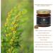 Award Winning Pure Spina Christi Honey (Gold Award at The London Honey Awards 2021). Single Origin Honey from The Raw Honey Collective - 240g - Buy Online on GoSupps.com