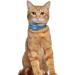 Oopsdoggy Leather Airtag Cat Collar with Bells - Durable GPS Pet Collar for Cats & Small Dogs in Blue - Buy Online on GoSupps.com
