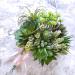 Supla 6 PCS Bouquet Holders - Floral Foam Handle for Bridal Fresh and Silk Flowers Bouquets - Wedding Supplies Decoration - Buy Online on GoSupps.com