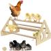 Allazone Wooden Chicken Batch Rods with Rattan Balls - 10-Piece Set for Chickens Roosters & Large Parrots - Buy Online on GoSupps.com