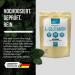 Aminopure L-Glutamine Powder - 100% Vegan Pure Fermented Corn Additive-Free Lab Tested - 500g International Shipping - Buy Online on GoSupps.com