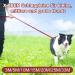 Buy Xben Long Durable Dog Tow Lines 3m to 33m with Lockable Carabiner | Reflective Leashes for Medium & Large Dogs - Buy Online on GoSupps.com