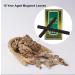 Buy Moxa Stick Roll - 10 Smokeless Moxa Sticks for Acupuncture & Healing Therapy | Fast International Shipping - Buy Online on GoSupps.com