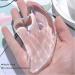 Transparent Gua Sha Facial Tool - Natural Resin Massage for Lymphatic Drainage Cellulite Reduction & Muscle Relief - Buy Online on GoSupps.com