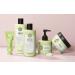 Maria Nila Structure Repair Conditioner 1000ml - Vegan Sulfate & Paraben Free for Damaged Hair | Algae Extract Moisturizes & Rebuilds - Buy Online on GoSupps.com
