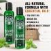 Viking Revolution Tea Tree Oil Beard Wash & Conditioner Set - Natural Beard Softener with Argan Oil, Vitamin E & Ginseng - 5 Fl Oz (Pack of 2) - Buy Online on GoSupps.com