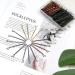 Kavya Hair Grips 200 Pcs Bobby Pins Anti Slip Hair Pins for Women with Storage Box Kirby Grips for Curling Hair And Creating Different Hairstyles Dance Recitals and Competitions Occasions Gold Brown Silver Black - Buy Online on GoSupps.com