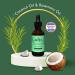 Ariez Coconut & Rosemary Oil Hair Growth Serum | Thicker Fuller Hair | Anti-Frizz | Cruelty Free | 55ml - Buy Online on GoSupps.com