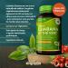 Guarana And Green Tea - High Strength Guarana 2500 mg - Natural Caffeine Source and Rich in Antioxidants - 240 Guarana Vegetable Capsules - 4 Months Supply - Made by Nutravita - Buy Online on GoSupps.com