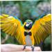 Shop MipCase Flying Bird Diapers & Fashion Clothing | Cute Bird Costumes & Accessories for Small Parrots - Cotton 12x6cm - Buy Online on GoSupps.com
