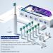 SEAGO Electric Toothbrush SG-2316 - 10 Brush Heads Travel Case & Timer - Smart Dental Care for Adults (White - Buy Online on GoSupps.com