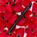 KUBERA Eye Definer Makeup Brush | Vegan & Cruelty-Free | Blending Shading & Highlighting Brush | 100% Synthetic Hair | Professional Eyeshadow Application - Buy Online on GoSupps.com
