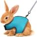 Adjustable Rabbit Dishes with Leash - Soft Small Animal Bowls for Hamsters Guinea Pigs and Cats | Neck Size: 18-27 cm Great for Pets 28-37 cm - Buy Online on GoSupps.com