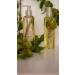 MOLFAR S Carpatian Handmade ECO Massage Oil | 100% Pure Lymphatic Drainage Recipe | Premium Ukrainian Blend of Soybean Grapes Hazelnut Oats & Herbs - Buy Online on GoSupps.com