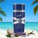 LATTAFA Asad Zanzibar EDP Spray 100ML (3.4 OZ) Long Lasting Embrace The Essence Of Rich Tropical Paradise. (PACK OF 3) Asad Zanzibar (Pack of 3) - Buy Online on GoSupps.com