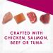 Purina Fancy Feast Savory Centers in Gravy Wet Cat Food Variety Pack - 24 Cans - Buy Online on GoSupps.com