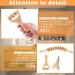 Toatelu 3-Piece Wooden Massage Roller Set | Fascia Roll Scooter with Handle & Gua Sha Tool for Neck Legs & Back Therapy - Buy Online on GoSupps.com