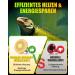 BRIGHARK 60W Reptile Heat Lamp - E27 Par20 Warm White 2700K Dimmable for Turtles Lizards Snakes & More (2 Pack) - Ideal Terrarium Lighting - Buy Online on GoSupps.com