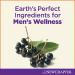 New Chapter Men's Multivitamin + Immune Energy & Stress Support - 24 ct - Buy Online on GoSupps.com