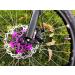 Dymoece 160mm Purple Bicycle Floating Disc Brake Rotor for MTB Mountain Road Bike - Buy Online on GoSupps.com