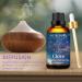 100ML Clove Essential Oil 100% Pure Undiluted Aromatherapy Clove Oil 3.38fl.oz for Soap Candle Making Massage Diffuser Humidifier BR-Clove 100.00 ml (Pack of 1) - Buy Online on GoSupps.com
