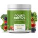 Red's Kitchen Sink Power Greens Powder - Daily Greens Superfood Powder - Fruity Veggie & Green Leafy Smoothie Drink Mix - Superfoods Maca Root Spirulina Chlorella & More (200 Grams)