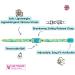 Shop Award-Winning Kittyrama Botanical Cat Collars | Hypoallergenic Quick Release Comfortable & Veterinarian Approved - Buy Online on GoSupps.com