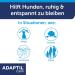 Adaptil Calm Benefit Pack for Dogs - 3x Refill Bottles (48ml) | Pheromones for Relaxation & Well-Being | International Shipping Available - Buy Online on GoSupps.com
