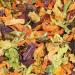 24 oz Jumbo Container Garden Vegetable Soup Mix by Its Delish - 12 Natural Dehydrated Vegetables for Ramen Noodles, Soup Greens with Beets - Freeze Dried Veggie Blend | Vegan, Gluten-Free, Kosher - Buy Online on GoSupps.com