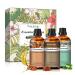Cinnamon Oil Sandalwood Oil Cedarwood Oil 1.01Fl.Oz Pure Aromatherapy Essential Oils Gift Set - 3 Pack/30ml for Relaxation Diffuser Humidifier Massage Skin & Hair Care