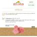 Almo Nature HFC Natural Wet Cat Food - Veal 24-Pack (70g x 24) | Premium Grain-Free Cat Nutrition | International Shipping - Buy Online on GoSupps.com