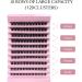 CNMTCCO Lash Clusters 120Pcs DIY lash Extenisons 8-16MM D Curl Fluffy Individual Natural Wispy Lashes Reusable Eyelash Extension at Home (Densely) - Buy Online on GoSupps.com