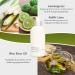 Buy THANN Oriental Essence Rice Extract Body Lotion - Moisturizing Body Milk with Vitamin E - Hydrating Skin Day & Night (10.8 fl oz) - International Shipping Available - Buy Online on GoSupps.com