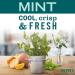 Mrs. Meyer's Hand Soap Mint - Essential Oils, Biodegradable, 3 Pack (12.5 fl. oz Each) - Limited Edition - Buy Online on GoSupps.com