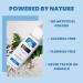 GuruNanda Oxyburst Teeth Whitening Mouthwash - 20 Fl.Oz. Wild Mint - Alcohol & Fluoride Free | Dentist Recommended Mouth Rinse with Essential Oils - Vitamin D & E | Pack of 1 - Buy Online on GoSupps.com