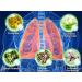 Stadsweg Respinature Herbal Lung Cleanse Mist 30ml Powerful Respiratory Support Spray - Buy Online on GoSupps.com