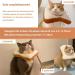 Mayumay Adjustable Cat Collar - Soft Healing Necker Cone for Kittens & Cats | Wound Recovery & Protection - Buy Online on GoSupps.com