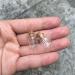 50pcs 0.5ml Glass Bottles with Cork - Mini Transparent Hanging Bottles for Essential Oils & Crafts - Buy Online on GoSupps.com