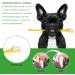 10pcs Dog Toothbrush DKDDSSS Long Handle Double Head Dog Toothbrushes Cat Teeth Cleaning Toothbrush for Pet Dogs Cats Puppy Dental Care Toothbrush - Buy Online on GoSupps.com