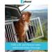 Vetoquinol Zylk ne 225mg - 100 Capsules for Pet Anxiety Relief | Buy Online - Fast International Shipping - Buy Online on GoSupps.com