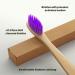 10 Pack Colored Bamboo Toothbrushes | Soft BPA-Free Vegan & Compostable | Eco-Friendly Natural Wood Toothbrushes - Buy Online on GoSupps.com