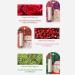 Moily 3-Piece Lip Balm Set Christmas Gifts for Women Men Scented Moisturizing Hydrating Care for Dry Lips Multicolor One Size One Size Multicolor - Buy Online on GoSupps.com